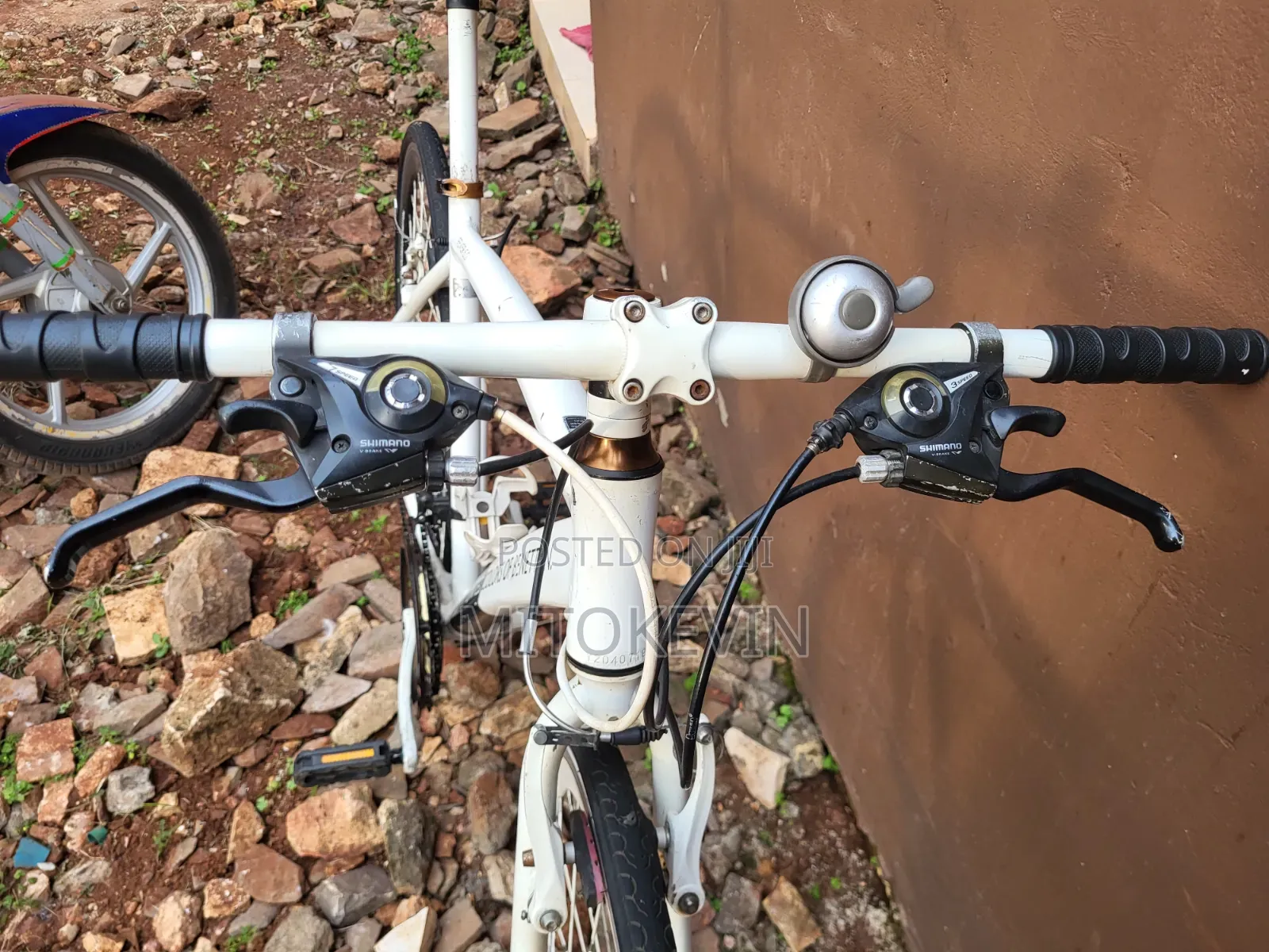 Hybrid Bicycle