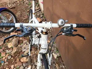 Hybrid Bicycle