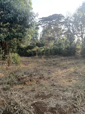 Land for Sell