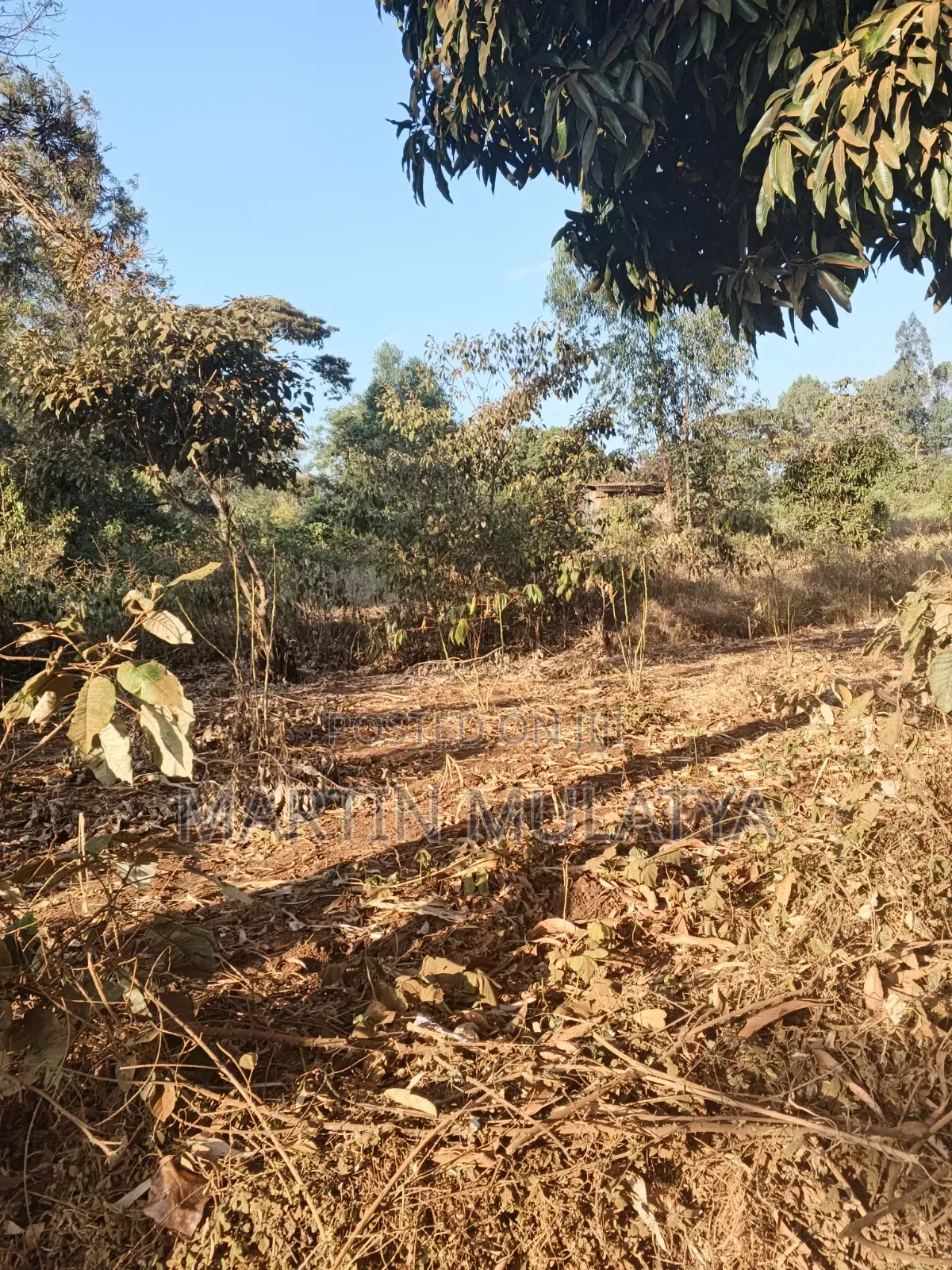 Land for Sell