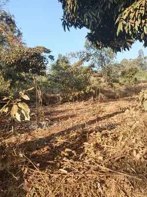 Land for Sell