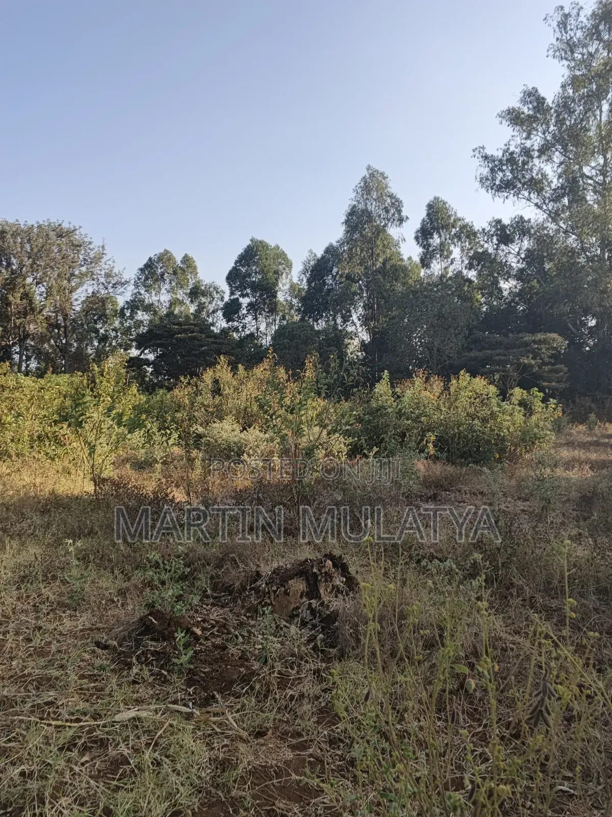 Land for Sell