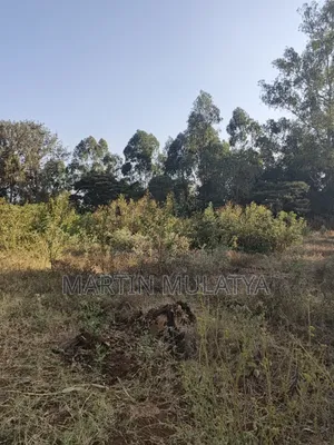 Land for Sell