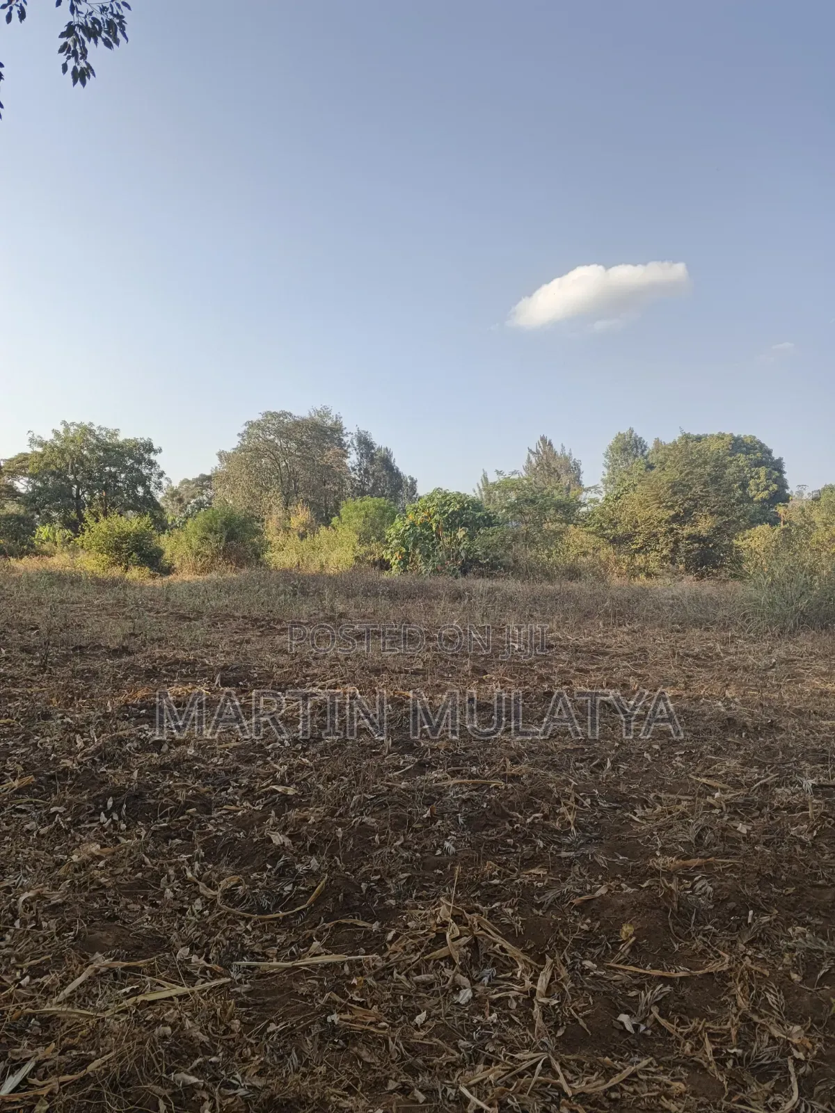 Land for Sell