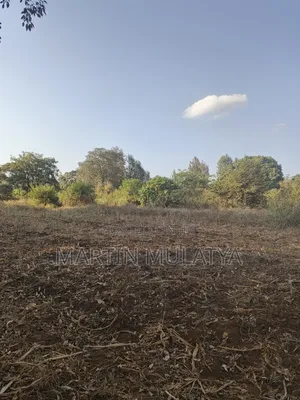 Land for Sell