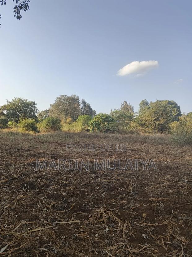 Land for Sell - thumbnail 5