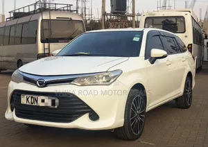 Toyota Corolla Fielder 2017 White