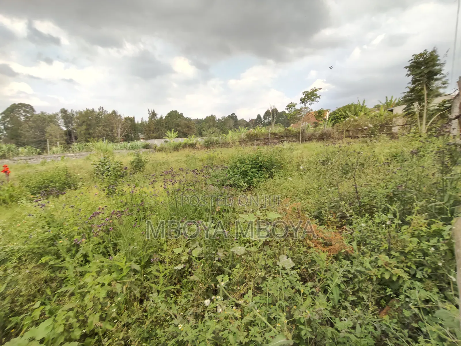 1/2 Acre Land for Sale in Loresho Ridge