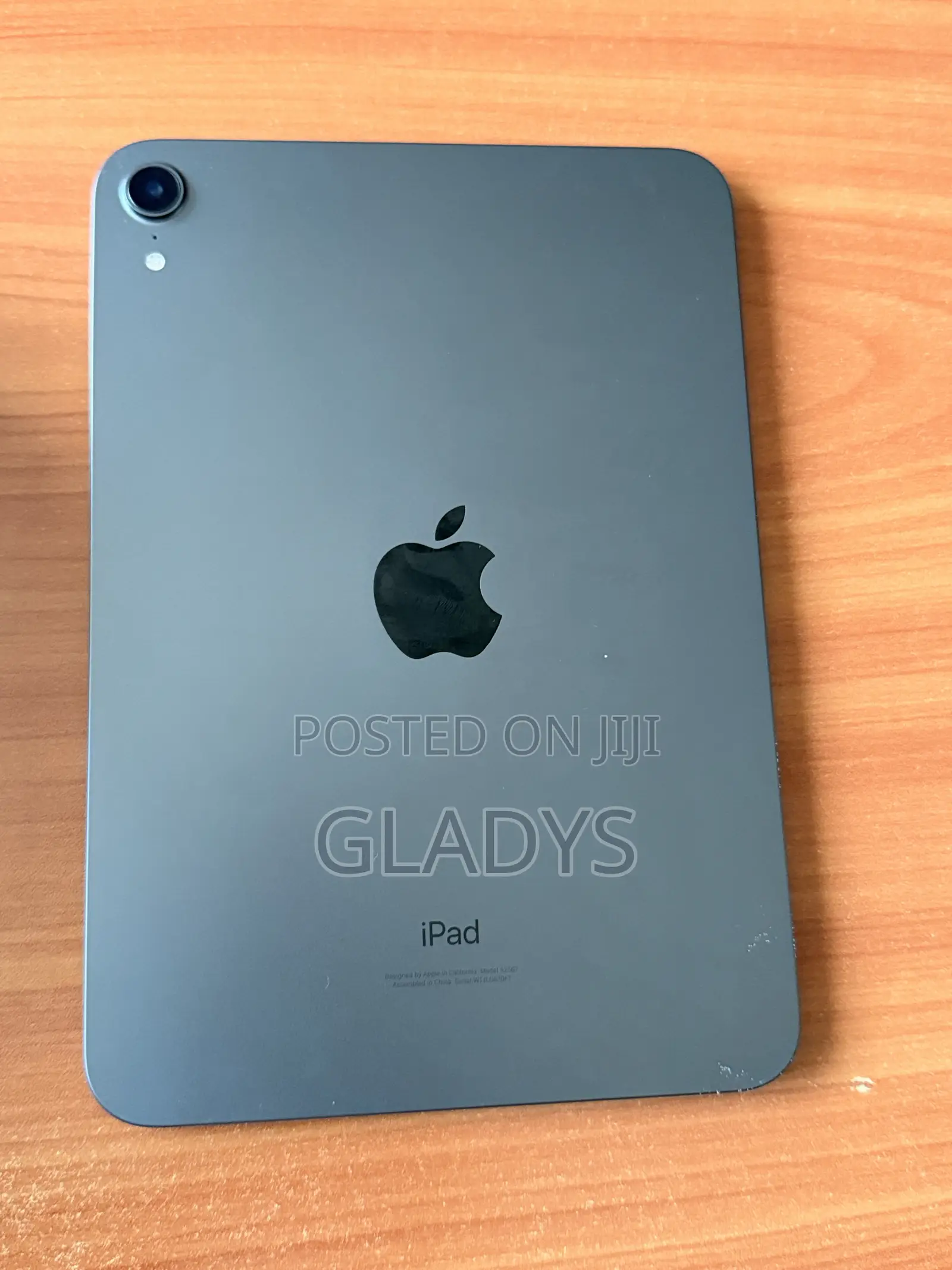 Apple iPad mini 6 64 GB Gray