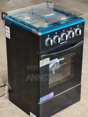 50*55 Vision Full Standing Cooker