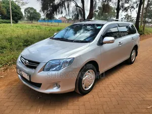 Toyota Corolla Fielder 2011 Silver