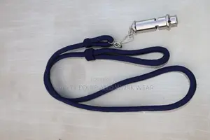 Security Lanyard