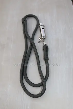 Security Lanyard