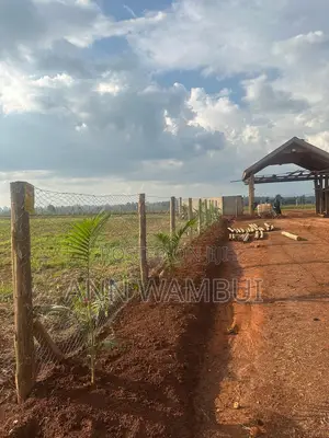 Prime Gated Quarter-Acre Plots Now Available in Kitale