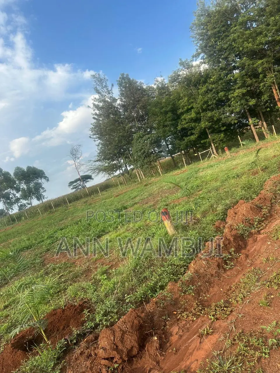 Prime Gated Quarter-Acre Plots Now Available in Kitale