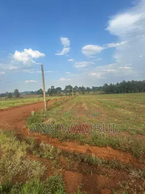 Prime Gated Quarter-Acre Plots Now Available in Kitale