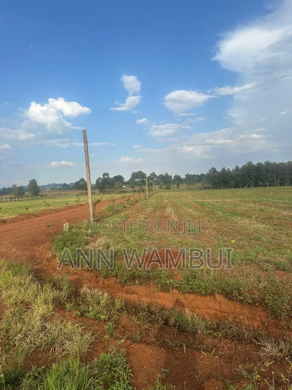 Prime Gated Quarter-Acre Plots Now Available in Kitale