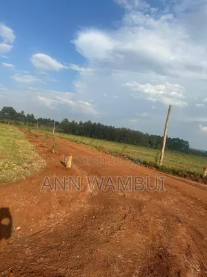 Prime Gated Quarter-Acre Plots Now Available in Kitale