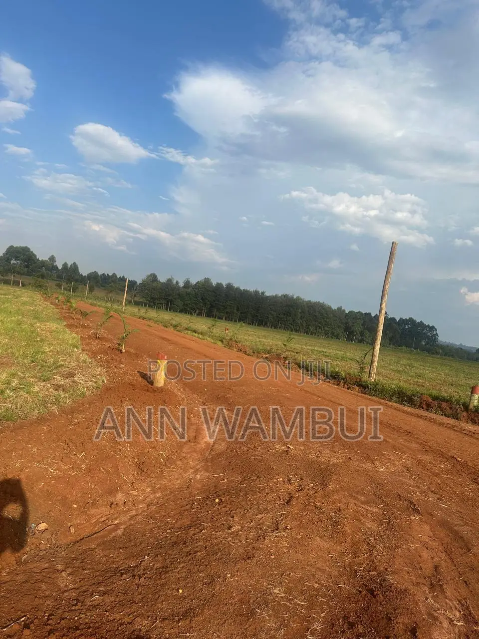 Prime Gated Quarter-Acre Plots Now Available in Kitale