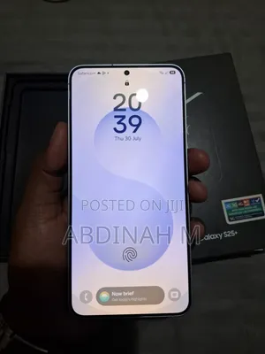 Samsung Galaxy S25+ 256 GB
