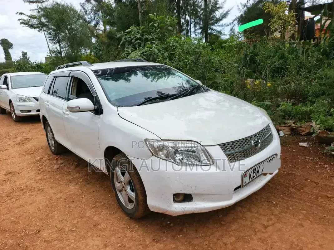 Toyota Corolla Fielder 2007 White