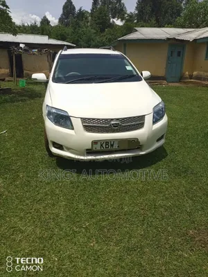 Toyota Corolla Fielder 2007 White