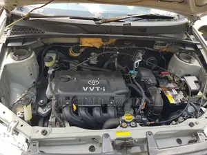 Toyota Probox 2010 White
