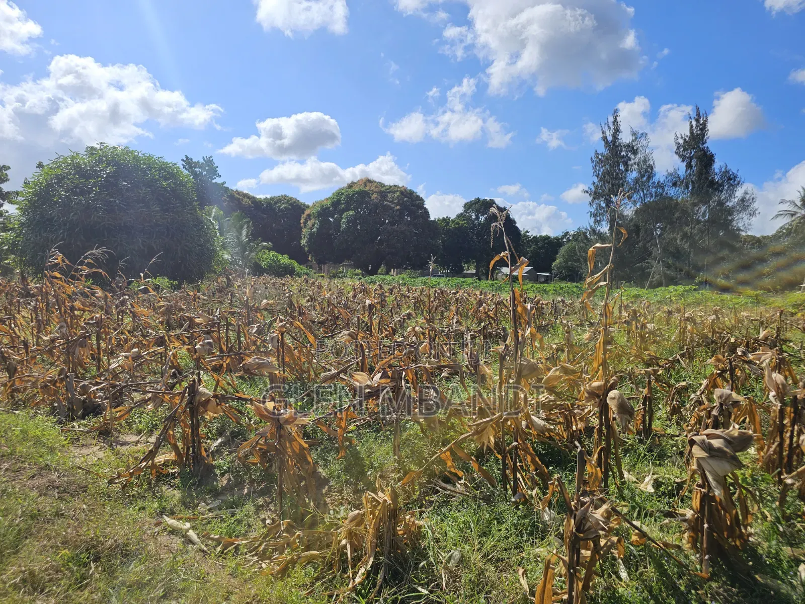 Prime Land for Sale