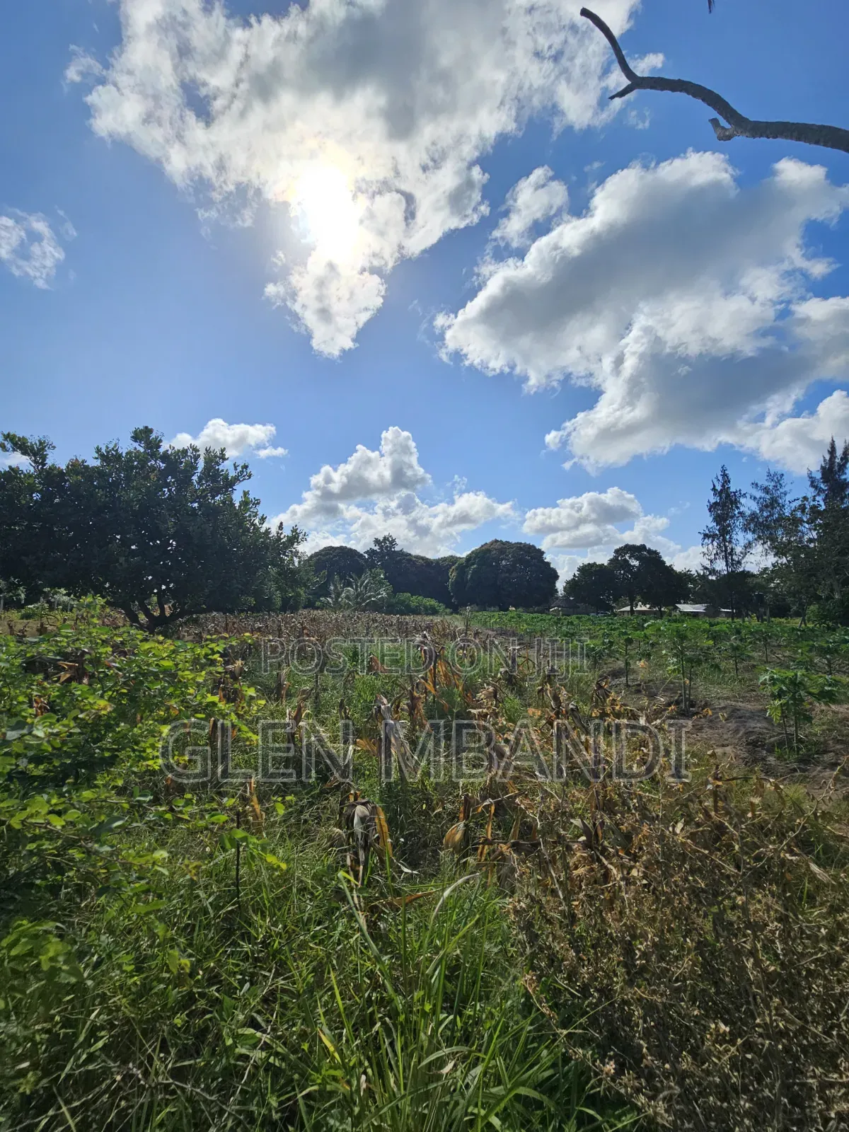 Prime Land for Sale