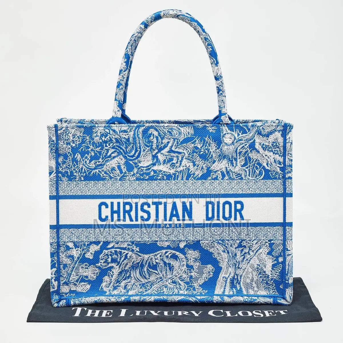 Christian Dior Toile De Jouy Book Tote in Vibrant Blue, Orange Red