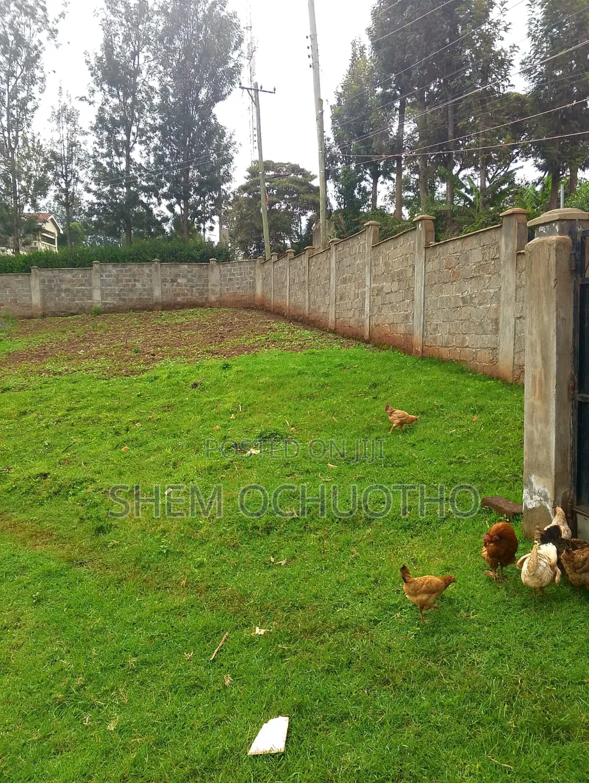 Plot for Sale in Ngong