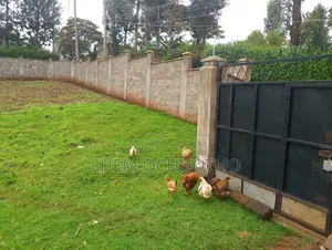 Plot for Sale in Ngong