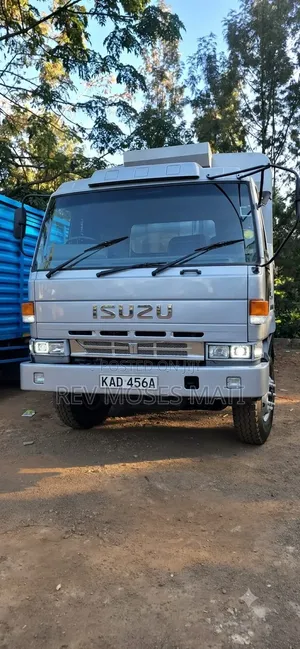 Izuzu CXZ Ten Tiyes 19993 Grey