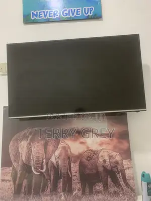 Hisense TV