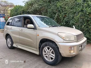 Toyota RAV4 2004 Gray