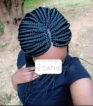 Braided Wig