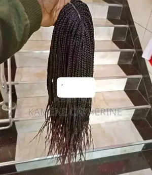 Braided Wig