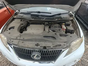 Toyota Harrier 2009 Ivory