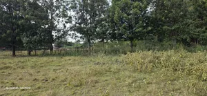 Prime 1 Acre for Sale in Chepkanga Eldoret