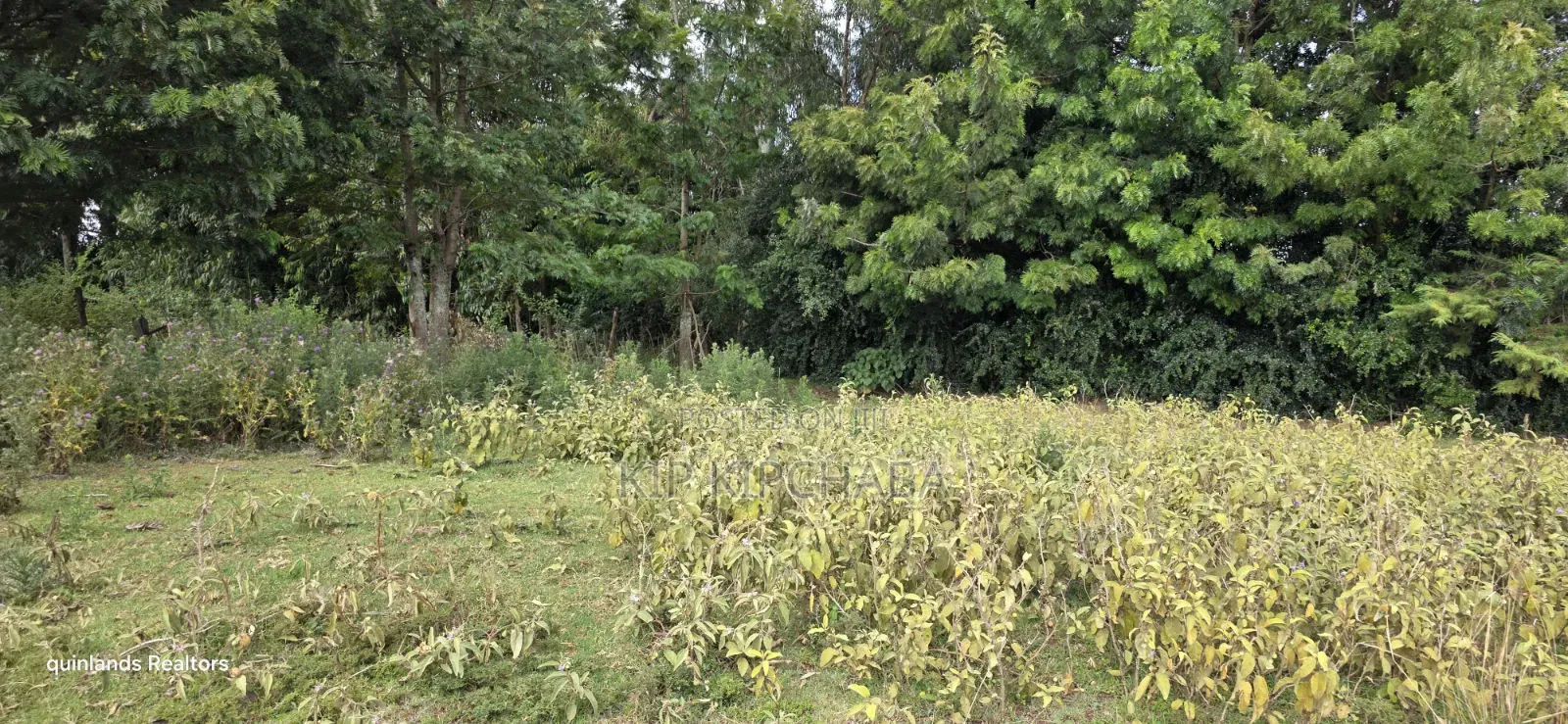 Prime 1 Acre for Sale in Chepkanga Eldoret
