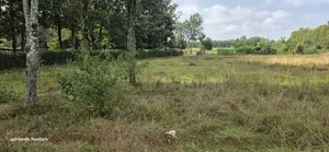 Prime 1 Acre for Sale in Chepkanga Eldoret