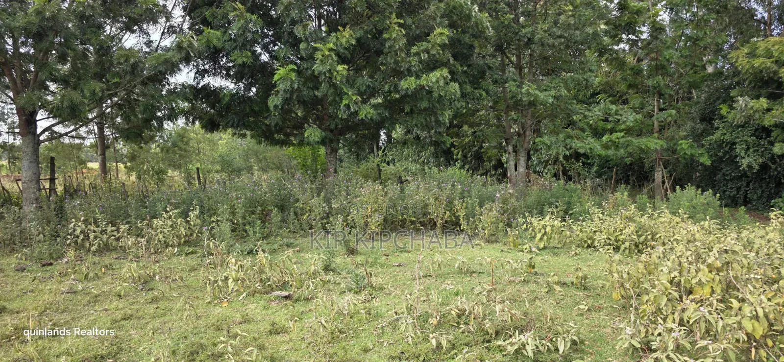 Prime 1 Acre for Sale in Chepkanga Eldoret