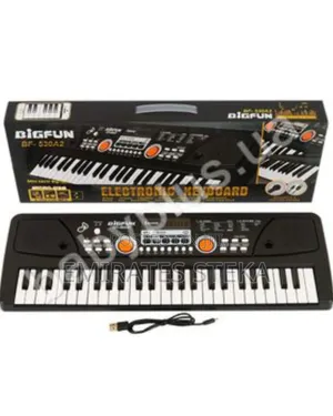 61 Keys Electronic Keyboard for Kids, Perfect Birthday Gift