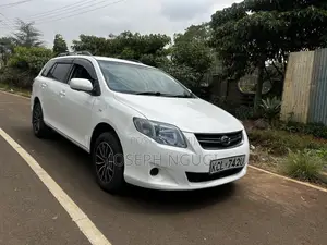 Toyota Corolla Fielder 1.5 Petrol AWD 2010 White