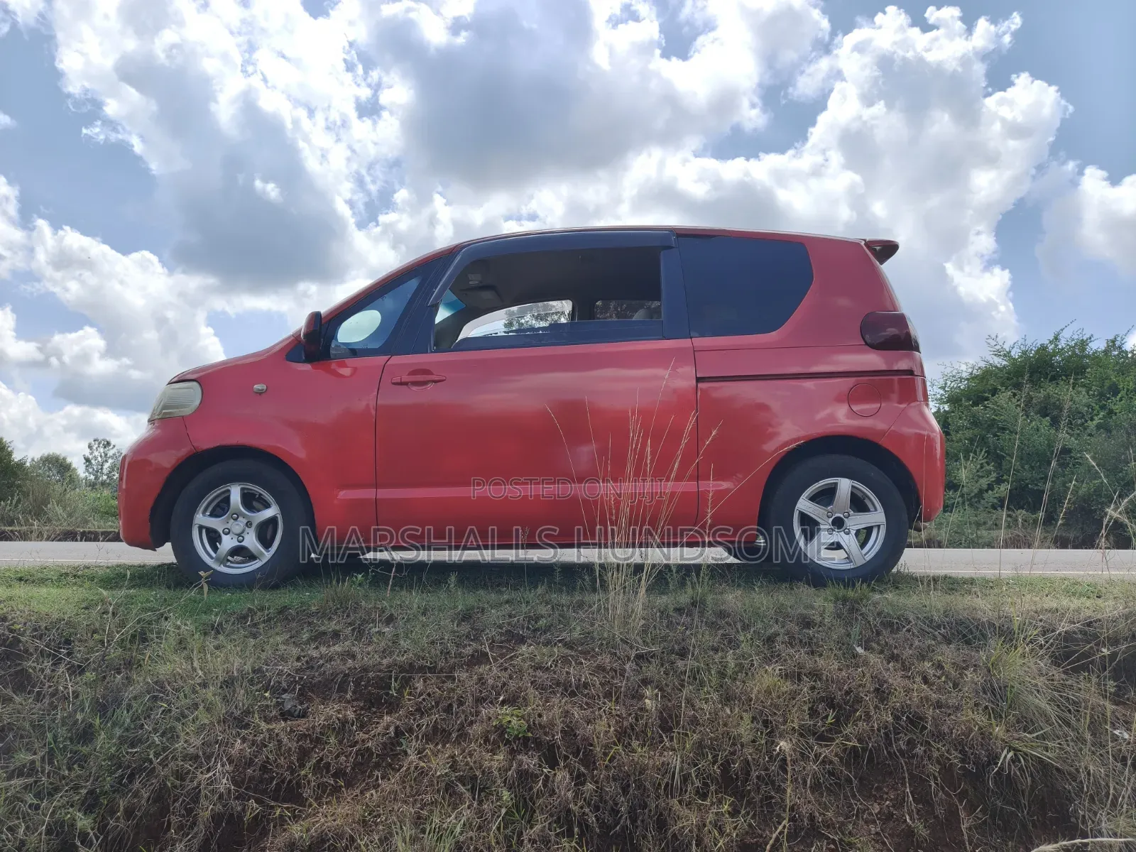 Toyota Porte 2010 Red
