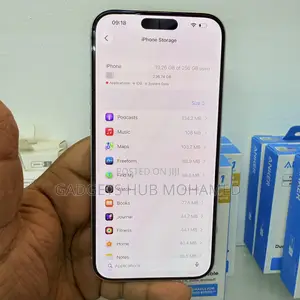Apple iPhone 17 Pro Max 256 GB Silver