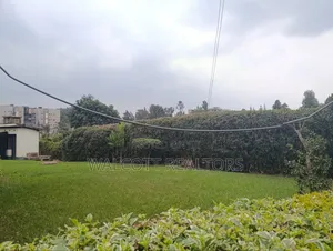 2bdrm Apartment in Thindigua/Kasarini for rent