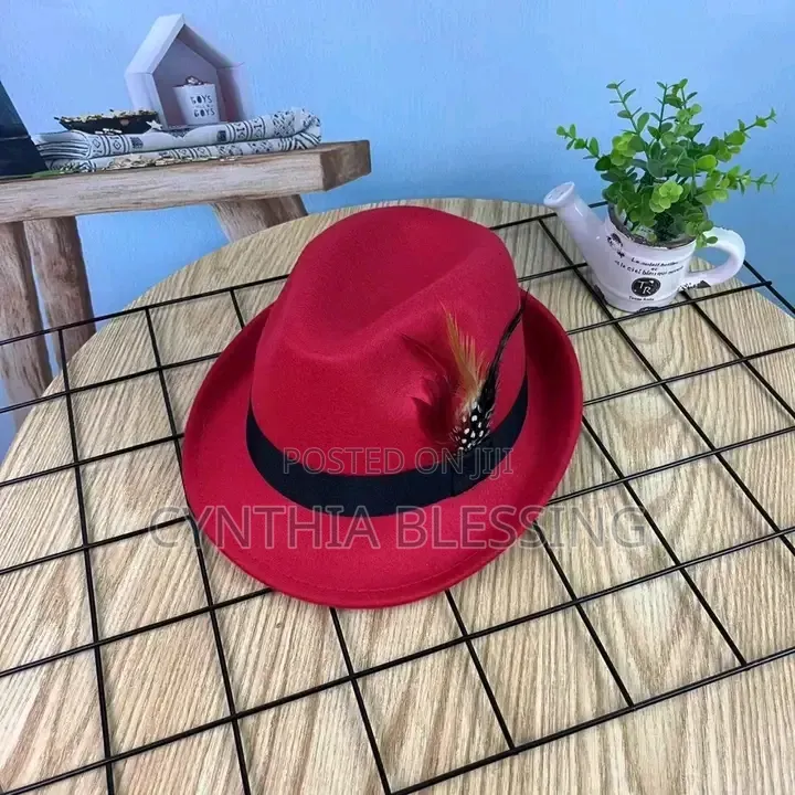 Fedora Hat With Feather Small Brim