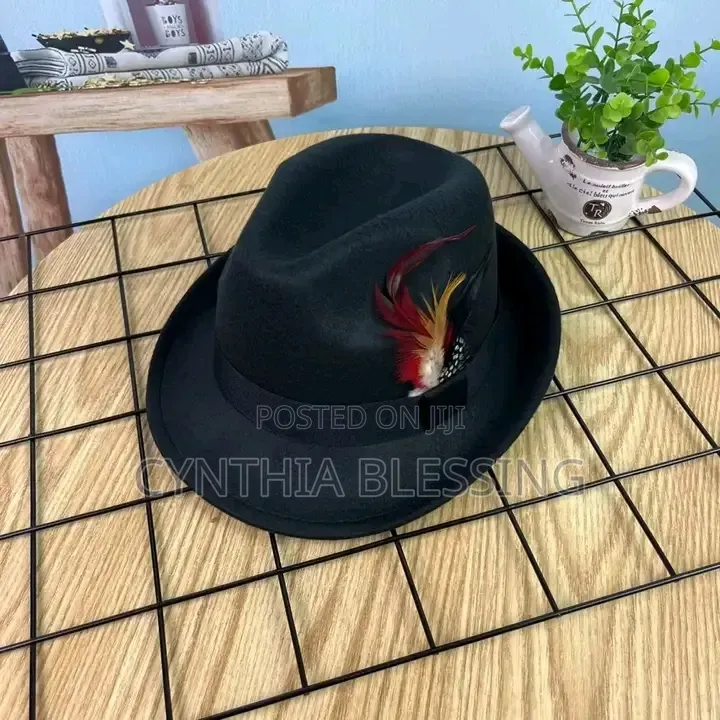 Fedora Hat With Feather Small Brim