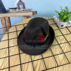Fedora Hat With Feather Small Brim